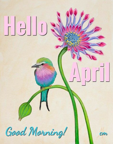 Good Morning! Happy Sunday!  #april #aprilfools #happyeaster #gmw #goodmorning #gm #happysunday #birds #flowers #flowerart #artwork #art #arts #original #good #morning #happy #easter #april1st #helloapril #sunday #happyart #artist #spring #springtime #weekend #happyweekend #goodvibes #happyday 1st April Good Morning, April 1st Good Morning Quotes, Good Morning April 1st, April 1 Blessings, April 1st Quotes, April Good Morning, Good Morning Happy Easter, Happy New Month Quotes, Photos Of Good Night