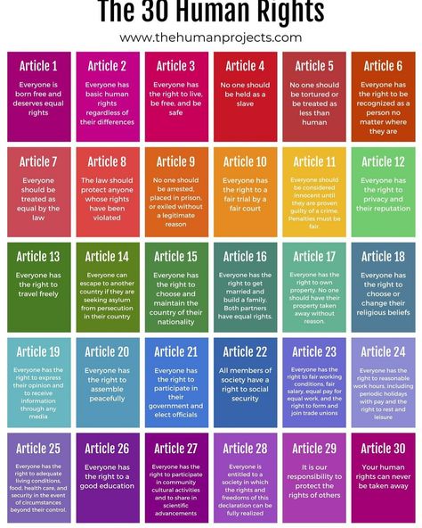 30 Human Rights, Basic Human Needs, Basic Human Rights, Activist Art, Study Flashcards, Knowledge Facts, General Knowledge Facts, Human Right, Missing Piece