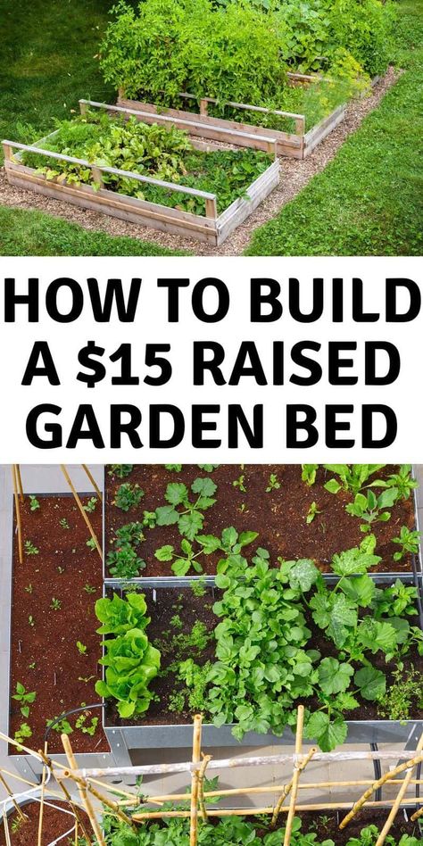 Inexpensive Raised Garden Beds, Cedar Raised Garden Beds, Cedar Garden, Building A Raised Garden, Backyard Vegetable Gardens, Raised Garden Beds Diy, Diy Raised Garden, Garden Wallpaper, Starting A Garden