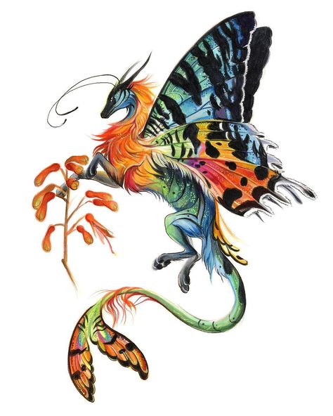 Madagascar Sunset Moth, Dragon Hybrid, Fierce Dragon, Sunset Moth, Watercolor Paintings Of Animals, Eagle Painting, Butterfly Dragon, Christmas Dragon, Mythical Creatures Fantasy