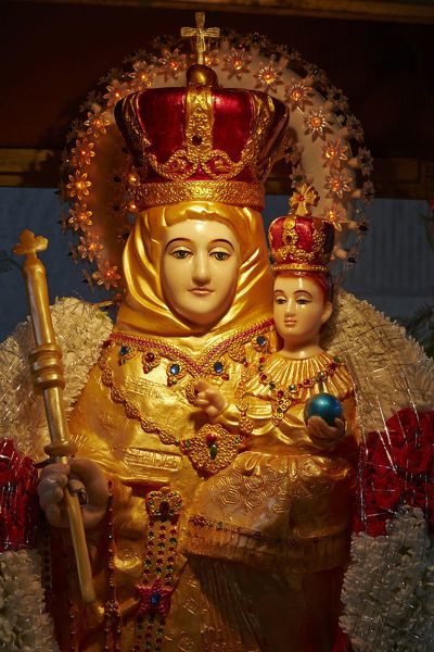 Our Lady Of Velankanni, Mother Mary Wallpaper, Saint Antony, Blessed Mother Statue, Mother Mary Images, Images Of Mary, Mama Mary, Blessed Mother Mary, Mary And Jesus