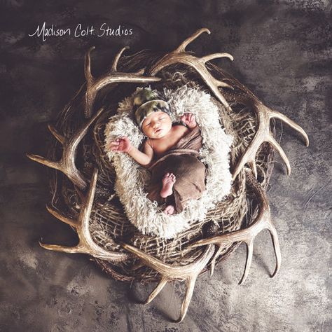 Baby Boy Newborn Pictures, Foto Kids, Foto Newborn, Anne Geddes, Newborn Pics, Western Babies, Boy Newborn, Foto Baby, Newborn Shoot