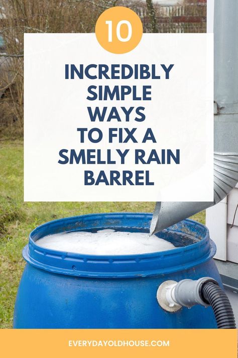 Smelly rain barrel water? Smells like rotten eggs or sweaty gym socks? Here's 10 simple ways to tame that putrid odor from bacteria, algae and decaying leaves. #rainbarrel How To Keep Rain Barrel Water Clean, Rain Barrels Ideas Beautiful, Decaying Leaves, Rain Water Barrel, Survival Knowledge, Rain Water Collection Diy, Rain Barrel Stand, Rain Barrel System, Barrels Diy