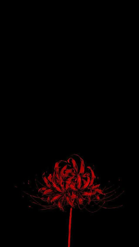 Red Spider Lily Aesthetic Wallpaper, Tokyo Ghoul Flower Wallpaper, Black Red Wallpaper Aesthetic, Dark Red Anime Wallpaper, Japanese Wallpaper Aesthetic Black, Red Flowers Aesthetic Wallpaper, Red Lily Spider, Red Spider Lily Wallpaper, Spider Lily Aesthetic