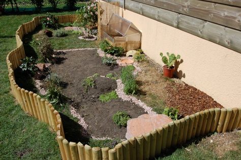 Tartaruga Habitat, Tree Frog Terrarium, Outdoor Tortoise Enclosure, Hermann Tortoise, Turtle Enclosure, Frog Terrarium, Tortoise House, Tortoise Enclosure, Tortoise Table