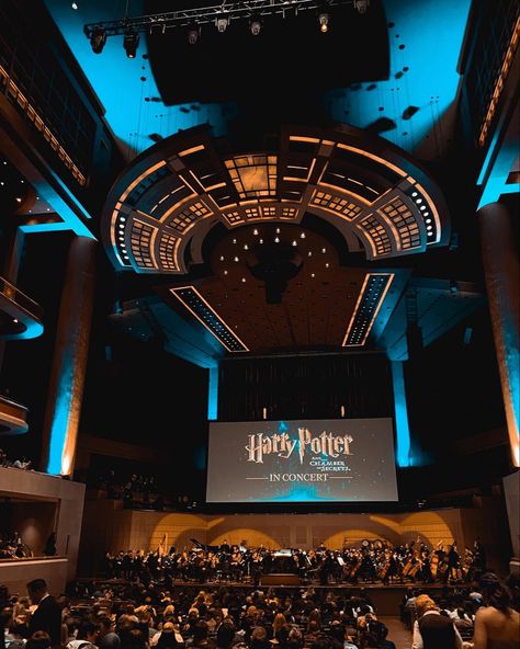 Movie Scores Aesthetic, Film Score Aesthetic, Symphony Outfit Orchestra, Aesthetic Orchestra Pictures, Symphony Aesthetic, Symphony Orchestra Aesthetic, Orchestra Aesthetic, Life Bucketlist, Harry Potter Orchestra