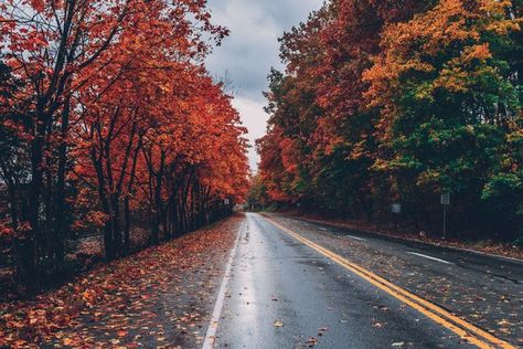 Road Wallpaper, Desktop Wallpaper Fall, Macbook Air Wallpaper, 3d Landscape, Fall Color Palette, Ios Wallpapers, Macbook Wallpaper, Fall Pictures, Scenic Drive