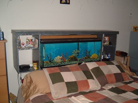 Fish Tank Bed, Aquarium Bed, Tank Head, Diy Fish Tank, Diy Aquarium, Head Board, Saltwater Tank, 55 Gallon, Round Beds