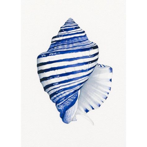 Blue Coral Art, Hamptons Home, Blue And White Art, Coral Art, White Art Print, Painted Shells, Hamptons House, Sea Art, Watercolor Inspiration