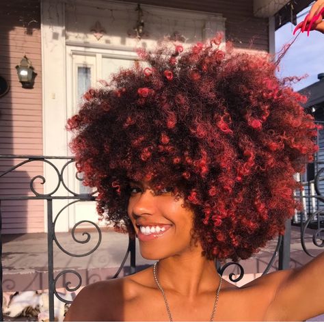 Afro Hair Color, Black Hair Afro, Curly Fro, Dyed Curly Hair, Dip Dye Hair, Dark Red Hair, Short Afro, Dyed Hair Inspiration, Dyed Natural Hair