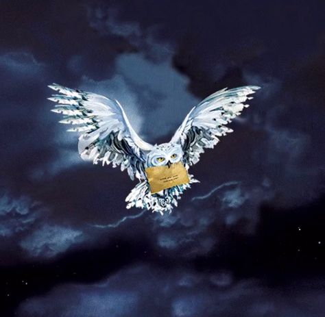 Hedwig the Owl. Harry Potter fandom. White owl. Snowy owl. Messenger. Hedwig Watercolor Painting, Hedwig Painting, Hedwig Harry Potter Owl, Hedwig Art, Hedwig Flying, Rosè Aesthetic, Hedwig Tattoo, Owl Mural, Owl Harry Potter