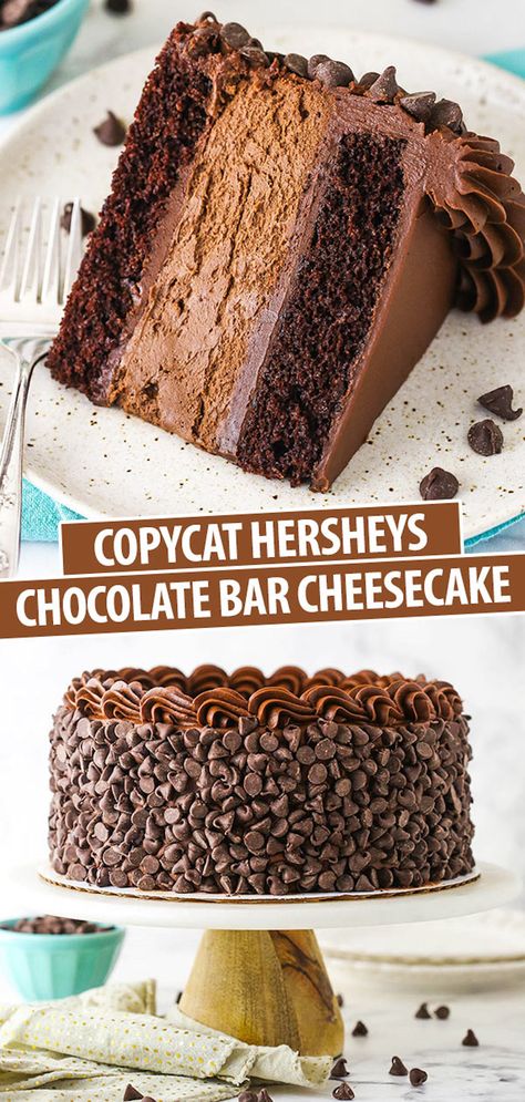 Chocolate Spoonful Cake, Cheesecake Birthday Cakes, Cake And Cheesecake Layered Cake, Hersheys Cheesecake, Decadent Cake Recipes, Chocolate Birthday Desserts, Hershey Cheesecake, Cheesecake Factory Cheesecake Recipes, Cheesecake Factory Copycat Recipes