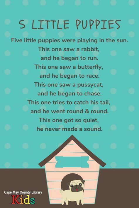 Preschool Pets Unit, Preschool Poems, Pet Poems, Library Programming, Circle Time Songs, Pet Theme, Pets Preschool Theme, Kindergarten Songs, Classroom Songs