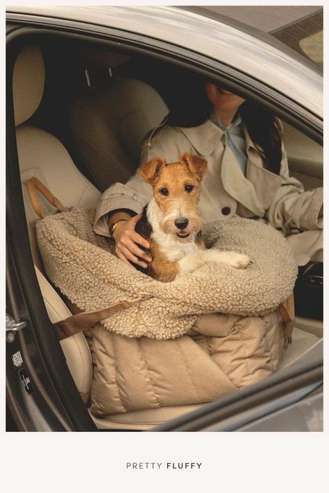 Traveling With Dogs In Car, Dog Brands, Dog Aesthetics, Pet Lifestyle, Dog Lifestyle, Dog Travel Accessories, Dog Brand, Dog Travel Bag, Pet Carrier Bag