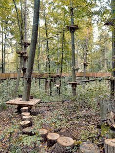 Playful Garden, Outdoor Forts, Kids Outdoor Playground, Backyard Obstacle Course, Outdoor Play Spaces, Tree House Diy, Kids Outdoor Play, Ropes Course, Tree House Designs