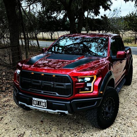 Truk Ford, Xe Porsche, Raptor Truck, Auto Jeep, Ford F150 Raptor, Ford Ranger Raptor, Ford Trucks F150, Ranger Truck, Ford Suv