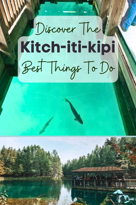 Discover the best way to explore Kitch-iti-kipi, Michigan's largest freshwater spring! Our guide offers expert tips on the must-see sights, ideal times to visit, and unique experiences like the self-operated observation raft. Learn about the crystal-clear waters, local wildlife, and scenic surroundings. Perfect for nature lovers and adventure seekers, this guide ensures you make the most of your visit to this enchanting destination. Plan your unforgettable trip to Kitch-iti-kipi today! Kitch-iti-kipi Michigan, Kitch Iti Kipi, Spring Lake Michigan, Escanaba Michigan, Michigan State Parks, Tahquamenon Falls, Isle Royale, Pictured Rocks National Lakeshore, Mackinac Bridge