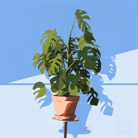 Pot Plant Digital Plant Art, Plants In Pots Drawing, Plant Pot Illustration, Potted Plant Drawing, Object Sketches, Plant Poster, Different Kinds Of Art, Pot Plant, Plant Aesthetic