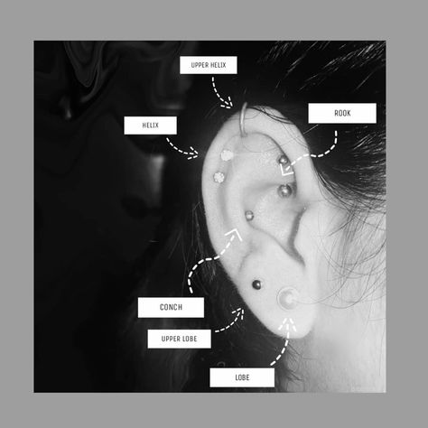 Conch And Industrial Piercing, Piercing Diagram, Industrial Piercing, Conch, Piercings, Beauty