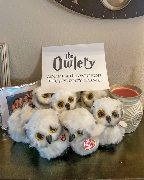 Harry Potter Owl Stuffed Animal, Harry Potter Party Owlery, The Owlery Harry Potter, Hedwig Birthday Party, Hedwig Party Ideas, Harry Potter Birthday Party Ideas Aesthetic, Harry Potter Owl Diy, Harry Potter Owlry, Harry Potter Fall Party