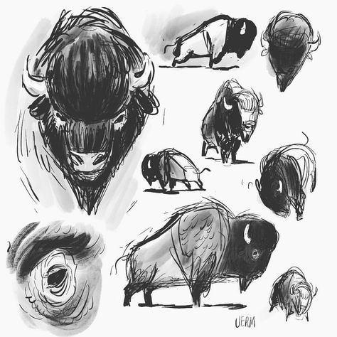 Bison Sketch, Bison Tattoo, Buffalo Animal, Bison Art, Buffalo Art, Western Artwork, Cowboy Art, Sketch Inspiration, Animal Sketches