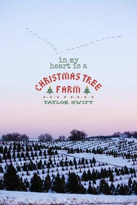 Christmas Tree Farm Wallpaper, Christmas Tree Farm Taylor Swift, Xmas Sleepover, Taylor Swift Christmas Tree Farm, Farm Wallpaper, Taylor Wallpaper, Taylor Swift Games, Taylor Aesthetic, Taylor Swift Christmas