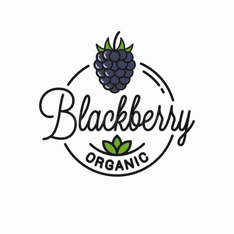 Blackberry logo. Round linear logo of organic. Blackberry on white background 8 eps vector illustration Blackberry Logo Design, Mulberry Jam, Jam Labels, Blackberry Picking, Jam Label, Regenerative Farming, Cranberry Jam, Tea Illustration, Fruit Logo