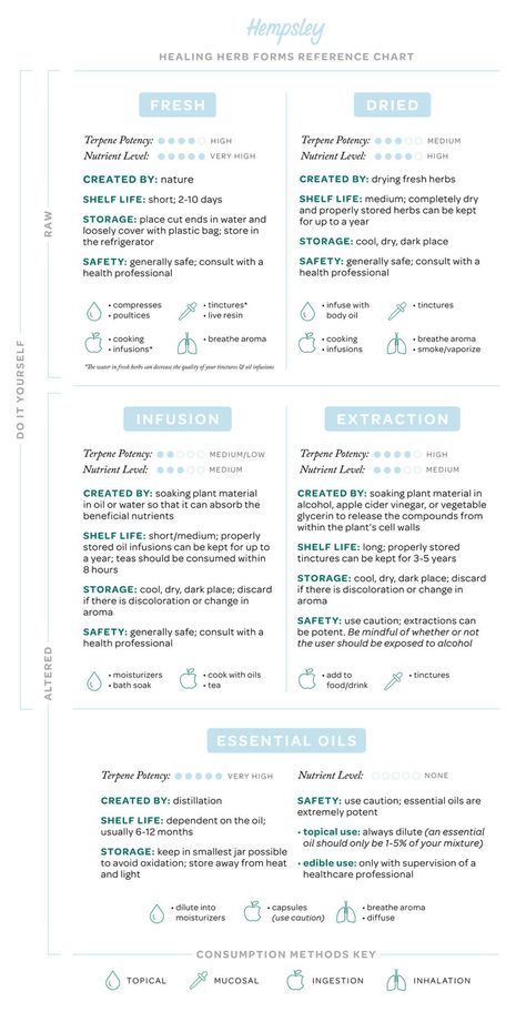 Herbal Materia Medica Template, Herb Guide Medicinal, Medical Plants Herbs, Herbs With Antibiotic Properties, Drying Fresh Herbs, Medicine Garden, Encyclopedia Of Herbal Medicine, Preventive Medicine, Medical Herbs