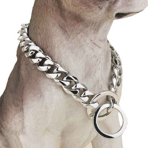 This ultra-strong, super stylish designer dog collar will make your pitbull… Chain Dog Collar, Designer Dog Collars, Collar Chain, Luxury Dog, Pet Life, Cuban Chain, Cuban Link, Dog Neck, Dog Collars