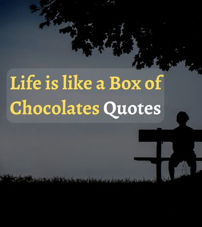 Life is Like a Box of Chocolates Quotes Chocolate Sayings Quotes, Life Is Like A Box Of Chocolates, Chocolate Quotes, Chocolate Humor, A Box Of Chocolates, Chocolate Party, Boxing Quotes, Box Of Chocolates, Thank You Quotes