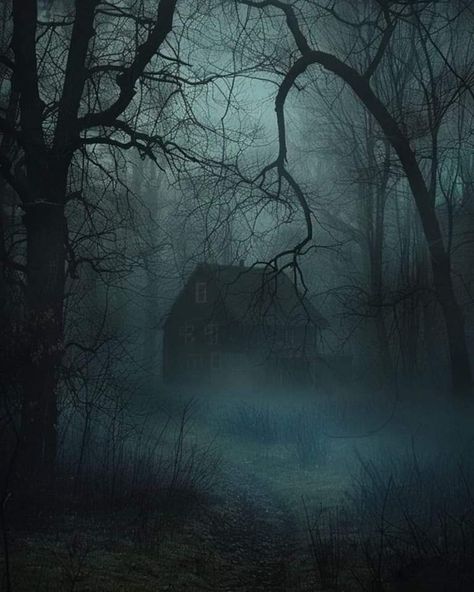 Creepy Cabin, Haunted Farm, Crib Ideas, Houses Art, Farm Houses, Night Forest, Creepy Art, Wooden House, Haunted House