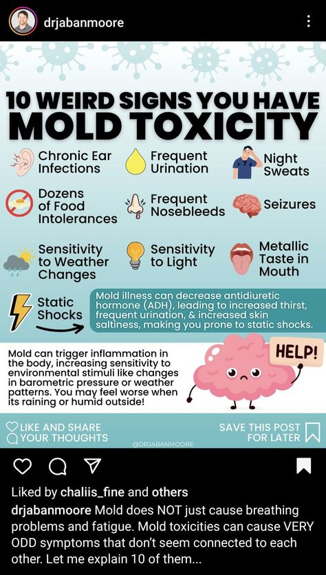 10 weird signs you have mold toxicity Mold Toxicity Symptoms, Mold Poisoning, Antidiuretic Hormone, Mold Symptoms, Nursing Art, Odd Symptoms, Headache Diet, Histamine Intolerance Symptoms, Bathroom Mold