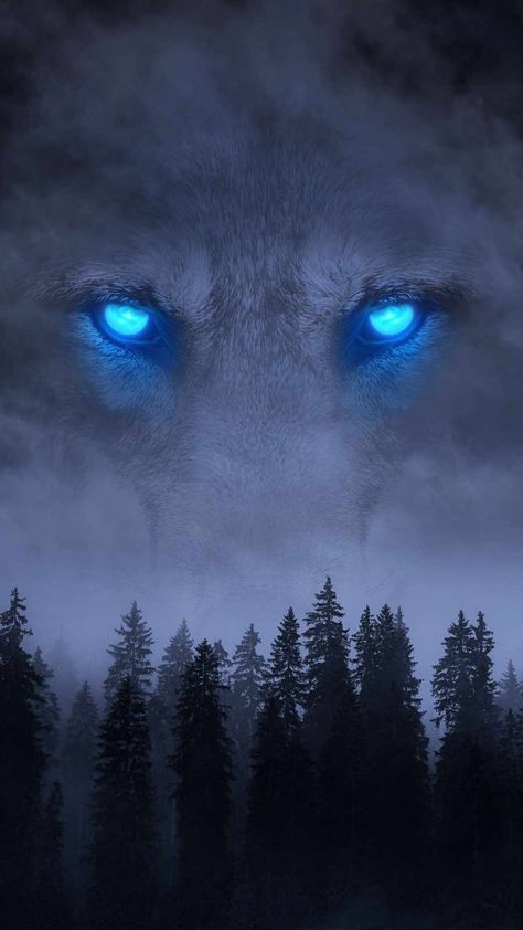 Wolf Eyes Aesthetic, Draw Wolf, Shadow Wolf, Wolf Background, Wolf Eyes, Lion Photography, Wolf Artwork, Wolf Canvas, Wolf Quotes