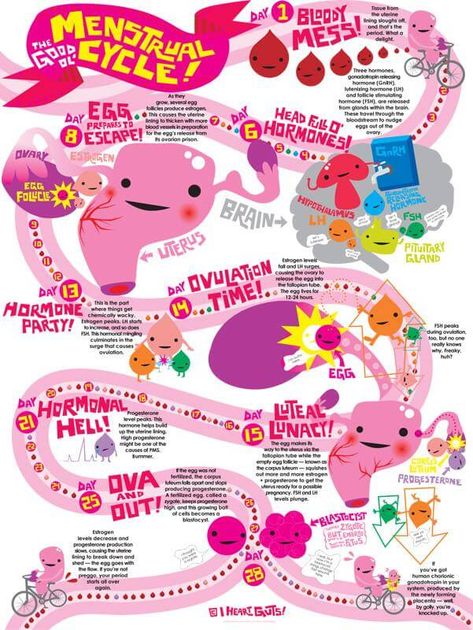 Menstrual Cycle Chart, Too Much Estrogen, Period Hacks, Estrogen Dominance, Reproductive System, Flow Chart, Nursing School, Paper Goods, Medical