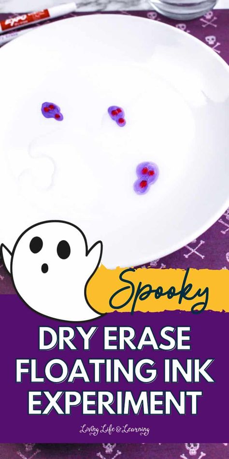 Do you want to do a science experiment this Halloween but you hate a mess? This Spooky Dry Erase Floating Ink Experiment is the answer! It's a perfect homeschool Halloween activity that even the little ones can do. Homeschool Halloween, Spooky Science, Assisted Living Activities, Homeschool Science Experiments, Halloween Science, Healthy Book, Halloween Activity, Easy Science Experiments, Life Learning