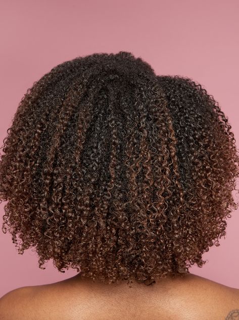 Highlights Afro Hair 4c, Curly Hair Color Ideas, Natural Hair Highlights, Curly Hair Color, Cabello Afro Natural, Long Hair Do, Type 4 Hair, Colored Curly Hair, Dyed Natural Hair