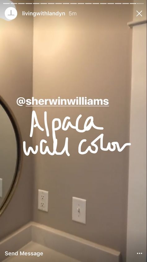 Sherwin Williams Alpaca wall color Sherwin Williams Alpaca, Alpaca Sherwin Williams, Office Kitchenette, Sherwin William, Roman Clay, Interior Paint Colors Schemes, House Redo, Gray Paint, Interior Paint Colors