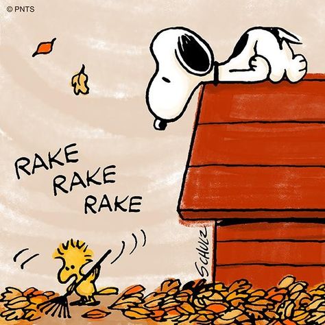 Autumn weekends 🍂 🍂 🍂 Snoopy Drawing, Snoopy Tattoo, Woodstock Snoopy, Woodstock Peanuts, Snoopy Comics, Fall Drawings, Snoopy Cartoon, Snoopy Funny, Snoopy Images