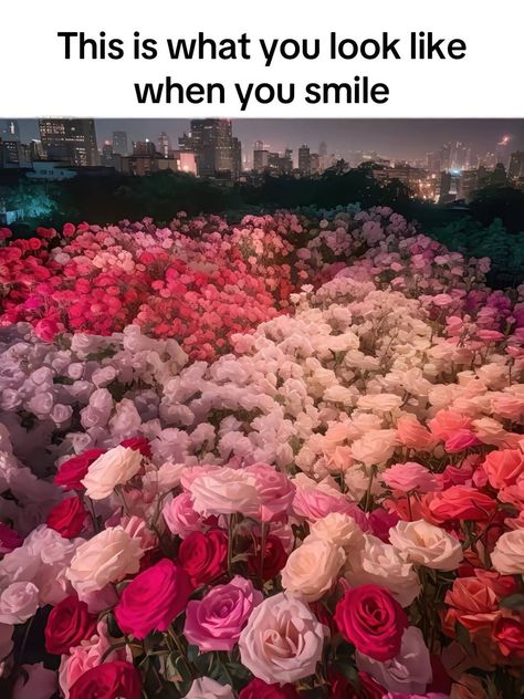 #slideshow #slides #only #you #iloveyou #iloveyouquotes #ilovehim #him #her #boyfriend #gfriend #crush #trending #reels #real #quoteforhim #lovecore #love #lovequotesforhim #aesthetic #tiktok #loverboy #smile #flowers #flowerslovers Trending Reels, When You Smile, Aesthetic Tiktok, Love And Co, I Love You Quotes, G Friend, Real Quotes, Love Quotes For Him, Cute Quotes