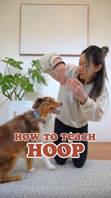 Cool Dog Tricks, Teach Dog Tricks, Dog Training Treats, Dog Enrichment, Dog Training Advice, Dog Tips, Best Dog Training, Dog Hacks, Dog Agility