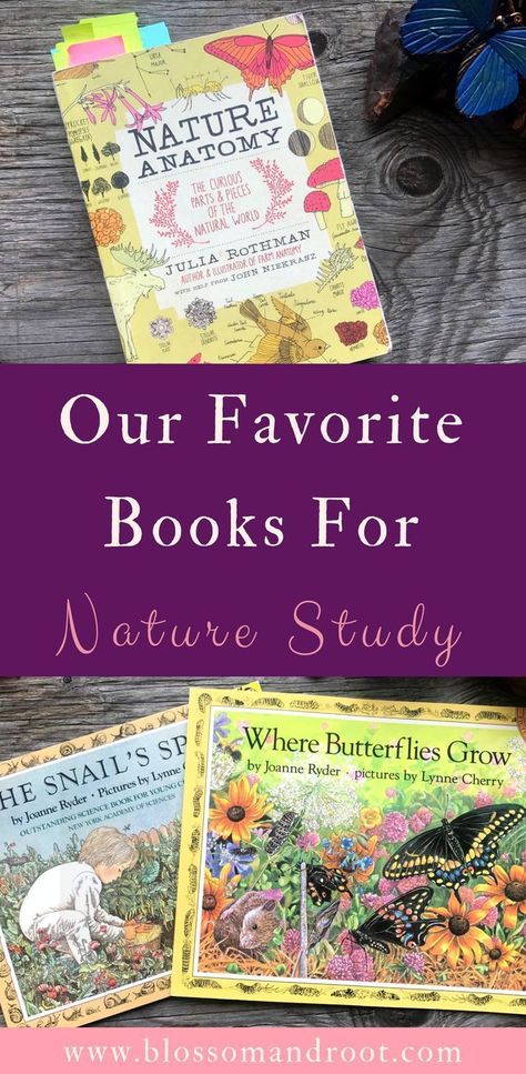 Books About Butterflies, Nature Anatomy, Homeschooling First Grade, Small Office Building, Used Book Store, Nature Learning, Book Pile, Homeschool Nature, Nature Camp