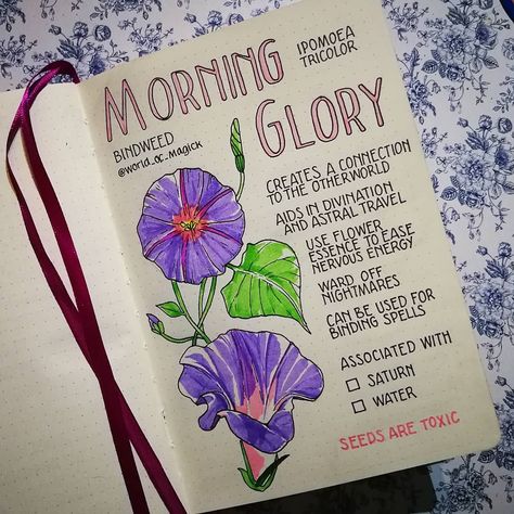 World of Magick on Instagram: “Morning Glory is one of the Bindweed family and spreads vigorously. It wraps itself around other plants, blocking their sunlight. Bindweed…” Magick Crafts, Binding Spells, Lunar Witch, Witchy Style, Nature Witch, Grimoire Book, Magic Herbs, Magical Herbs, Wiccan Spell Book