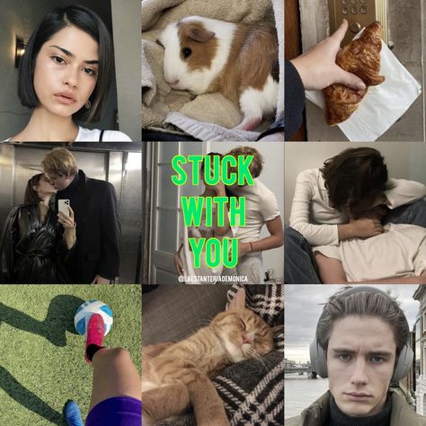 Stuck With You | STEMinist Novellas | Loathe to Love You | Ali Hazelwood | Sadie Grantham | Erik Nowak Ali Hazelwood, Books Aesthetic, Book Aesthetics, Book Aesthetic, Love You, Books