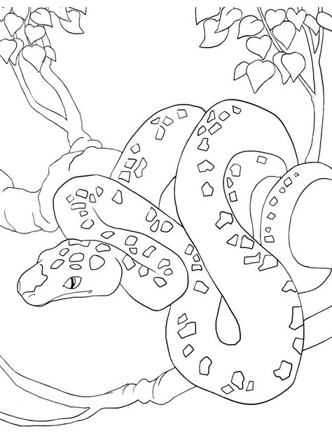 Snake Coloring Pages, Baby Coloring Pages, Snake Drawing, Preschool Projects, Kid Coloring Page, Coloring Page Printable, Line Artwork, Adult Colouring Pages, Free Adult Coloring Pages