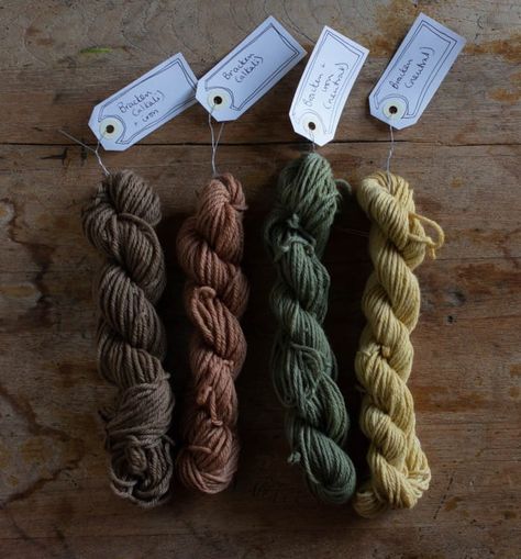 Dyeing wool with bracken - an experiment in changing the pH | Snapdragon Life Fabric Dye, Natural Dyeing, Responsive Website Design, Eco Printing, Plant Dyes, Fun Times, Natural Dye, Make Color, Naturally Dyed