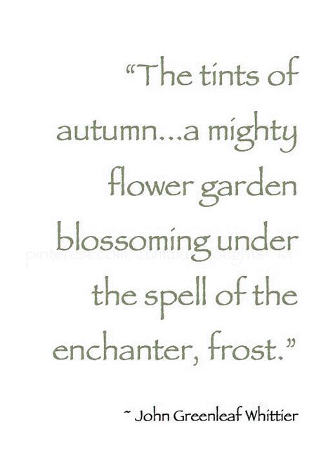 Autumn Poetry, Pretty Pumpkins, Fall Photography, Fall Florals, Autumn Quotes, Soft Autumn, Fabulous Fall, Autumn Beauty, Autumn Garden