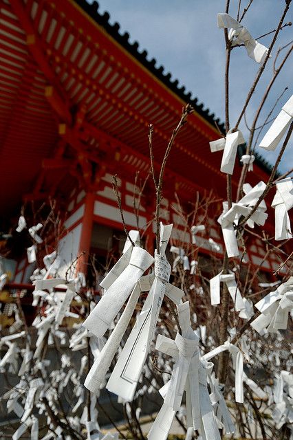 Japanese Wishing Tree, Japan Activities, Wish Tree, Japanese Traditional Clothing, All About Japan, Trip To Japan, Wishing Tree, Sailor Moon Aesthetic, Wakayama