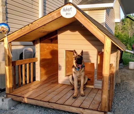 Creative Dog Houses Outdoor, Indoor Dog House For Big Dogs, Big Dog House Ideas, Big Dog House Outdoor Ideas, Easy Dog House Diy Outdoor, Dog House For 2 Dogs, Outside Dog Houses For Big Dogs, Dog Houses Outdoor, Dog Houses For Big Dogs