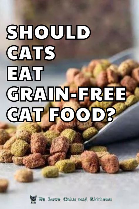 Grain isn’t necessary for cats, but it’s not necessarily harmful either, unless your cat has an existing issue which prevents them from eating grain. Read the article for more info and the best grain-free cat food picks available on the market! Cat Behavior Facts, Grain Free Cat Food, Grain Free Diet, Kitten Food, Digestive Issues, Food Picks, Grain Foods, Dry Cat Food, Special Diets