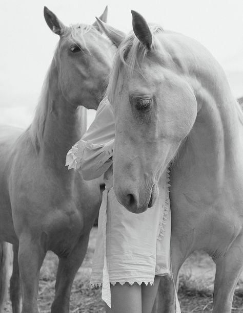 Nails Music, Horse Details Photography, Greta Falcone, Dreamy Horse Photoshoot, Model With Horse Photo Shoot Fashion Editorials, Horse Editorial Photography, Horse Vogue Editorial, Horse Film Photography, Horsey Life